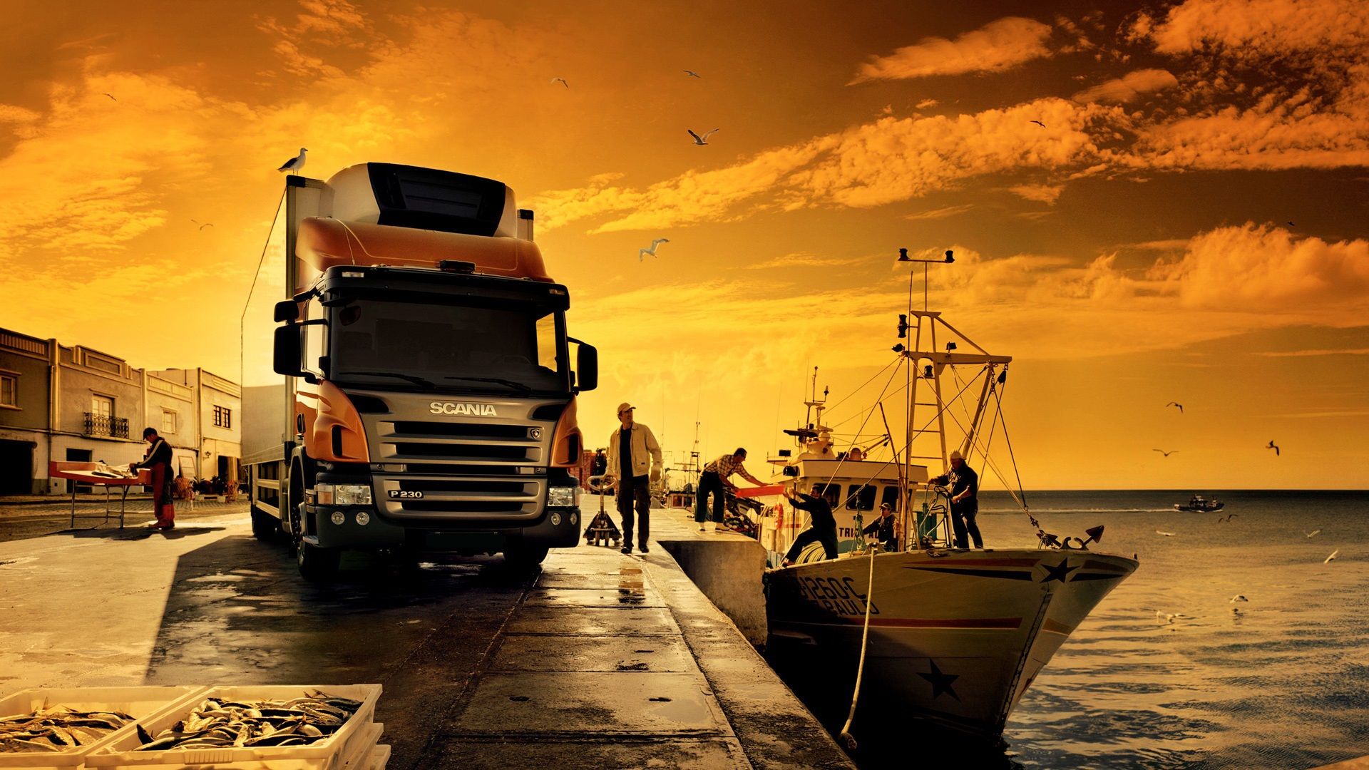 The Importance of Logistics in Project Management Cargorex logistics uk transport london transportation import export trucks warehouse 39 - The Importance of Logistics in Project Management