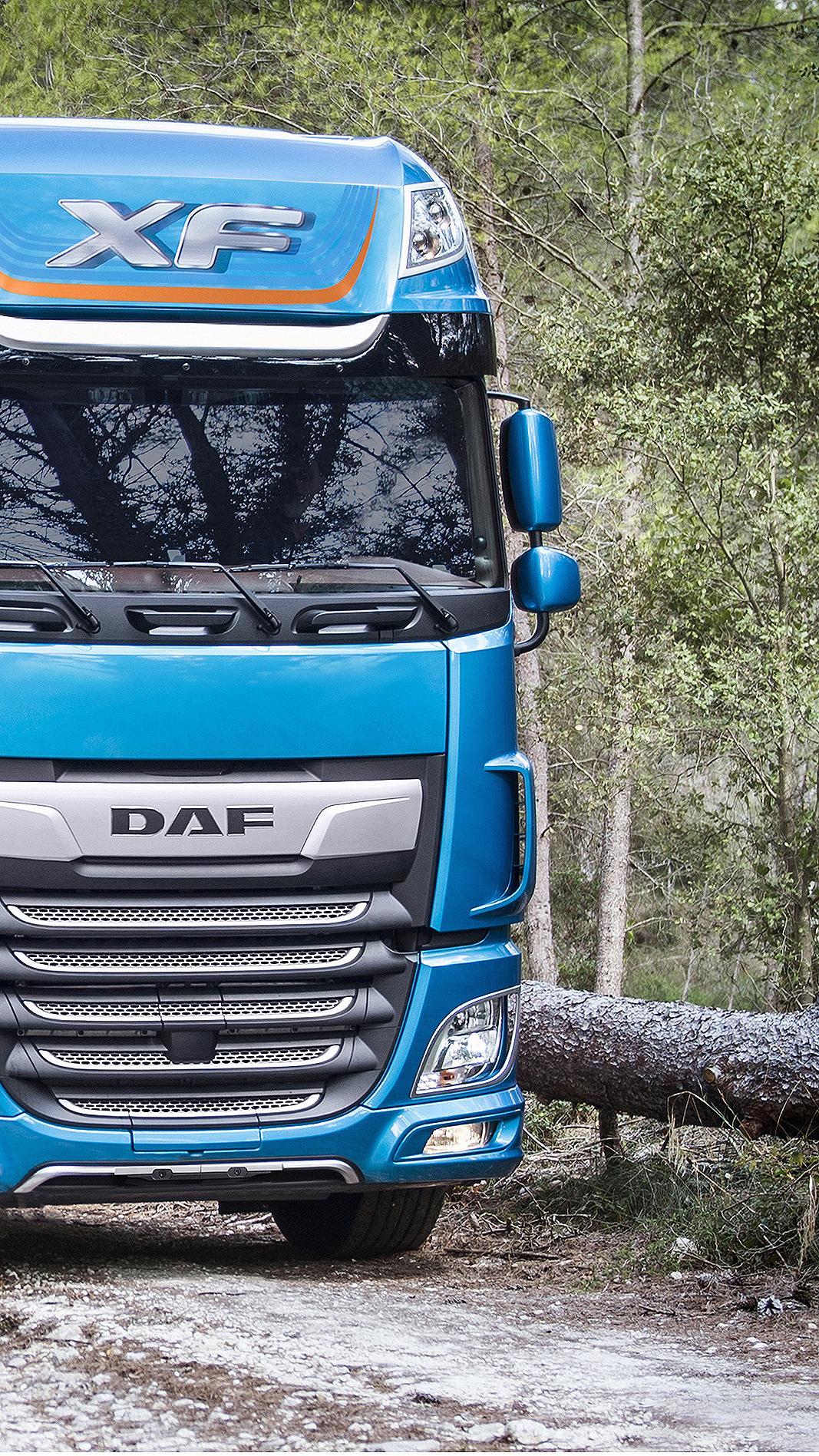 CARGOREX FREIGHT TRANSPORTATION CARGO ROAD FREIGHT SEA FREIGHT AIR FREIGHT DELIVERY LOGISTIC WAREHOUSE JUST IN TIME SOLUTION SPEDITION40 - Make the Right Selection for Your Transport Logistics and Distribution Partner